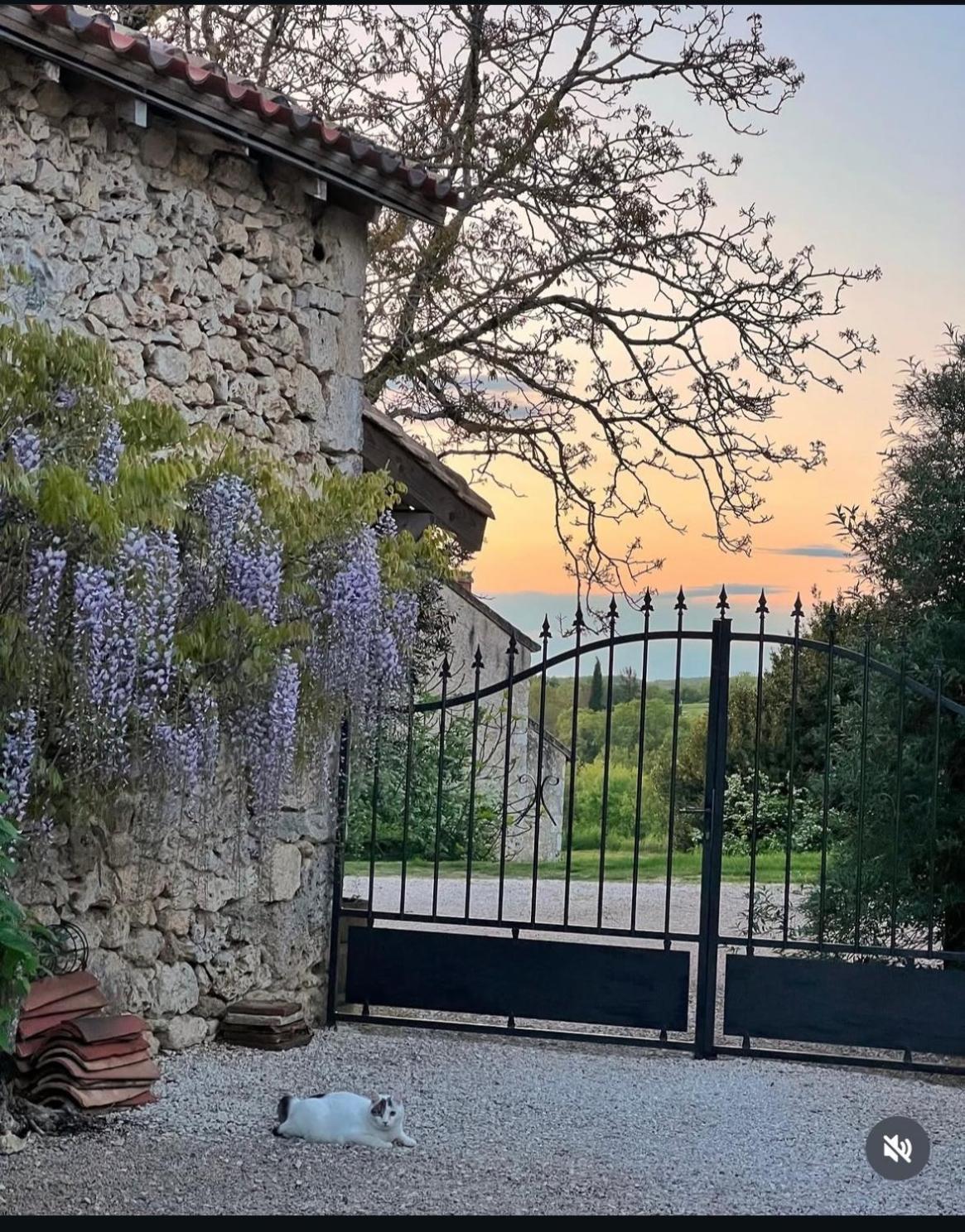 Le Gîte de La Maison des Chats Saint-Amans-du-Pech Extérieur photo